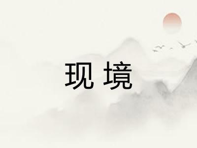现境