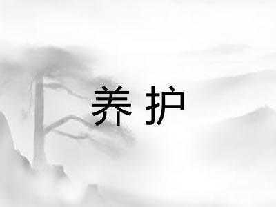 养护 养护