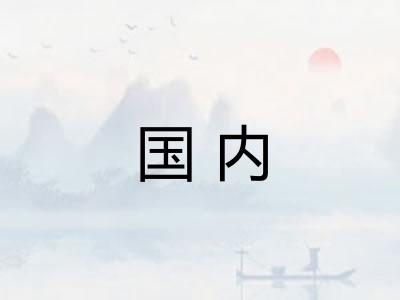 国内