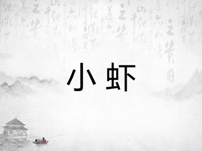 小虾 小虾