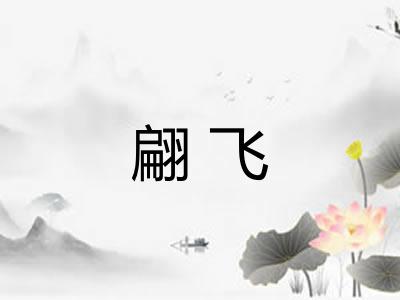 翩飞