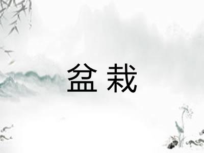 盆栽 盆栽