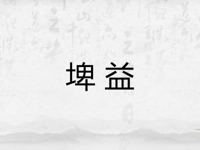 埤益 埤益