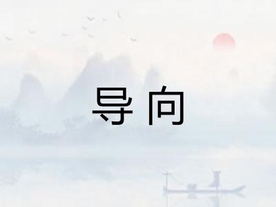 导向