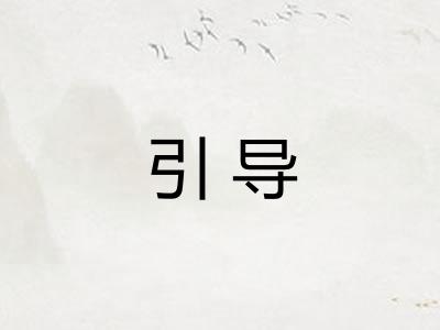 引导