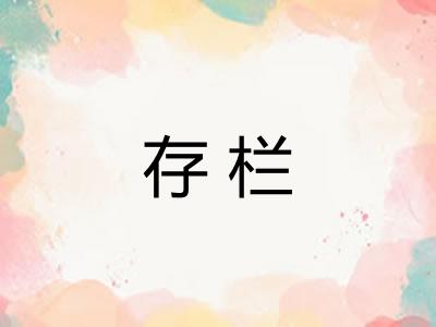 存栏 存栏
