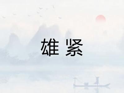 雄紧