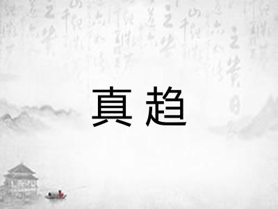 真趋