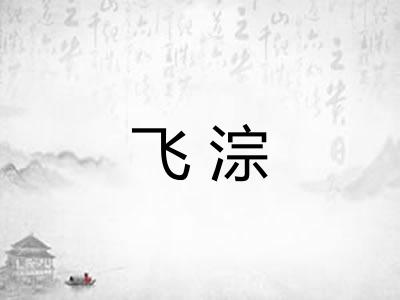 飞淙