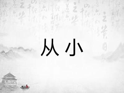 从小 从小