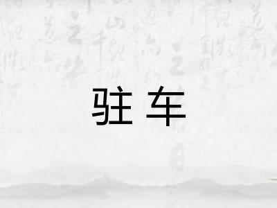 驻车 驻车