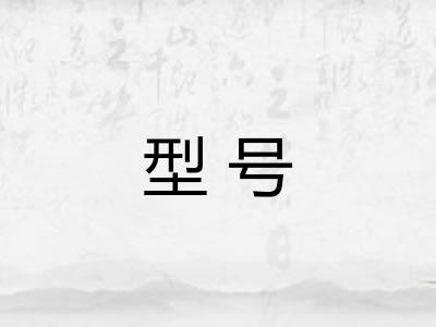 型号