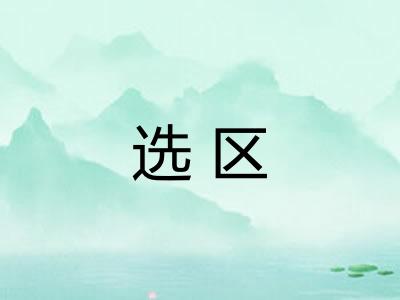选区