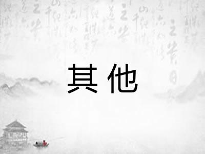 其他