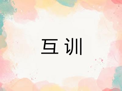 互训