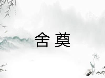 舍奠 舍奠