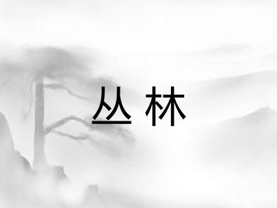 丛林