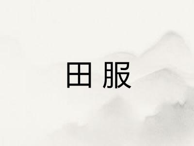 田服