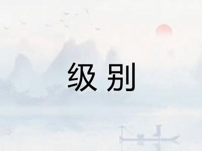 级别