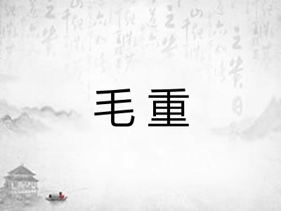 毛重 毛重