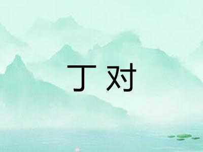 丁对