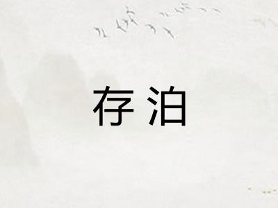 存泊