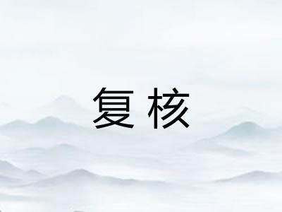 复核