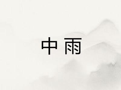 中雨