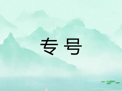 专号