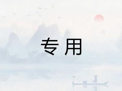 专用