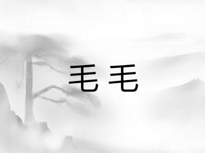毛毛