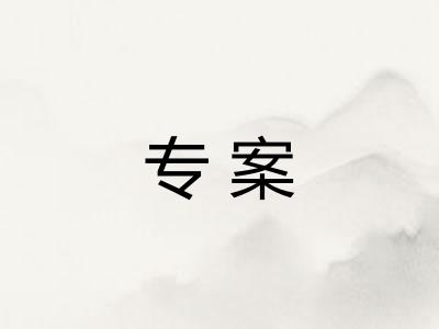 专案 专案