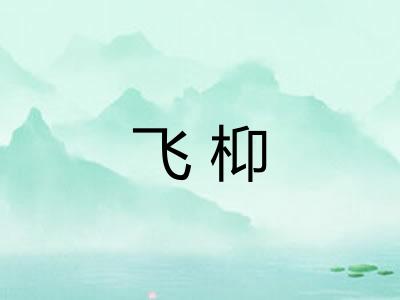 飞枊 飞枊