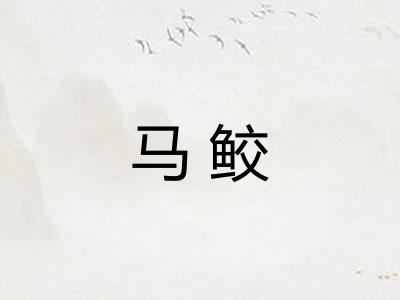 马鲛
