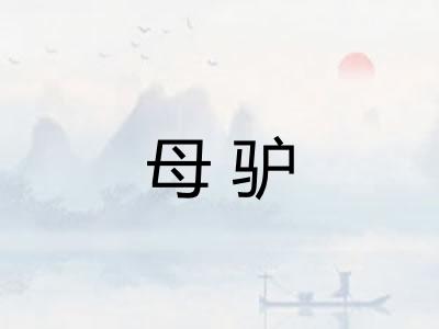 母驴