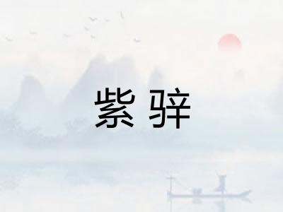 紫骍