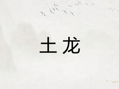 土龙