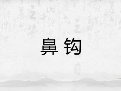 鼻钩 鼻钩