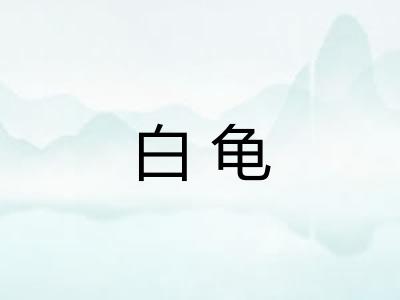 白龟 白龟