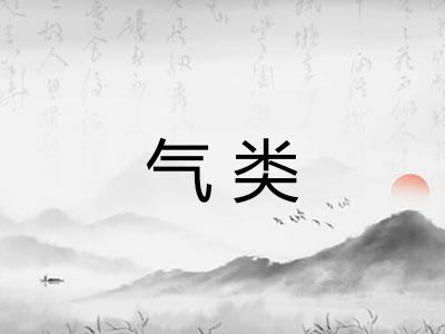 气类 气类