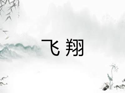 飞翔