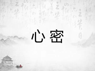 心密