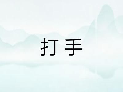 打手