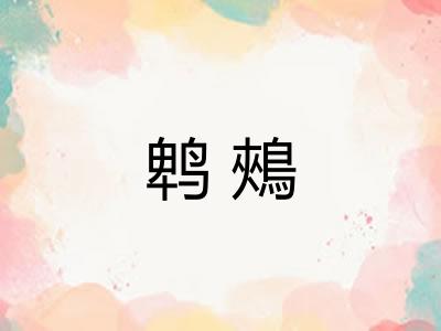鹎鵊 鹎鵊