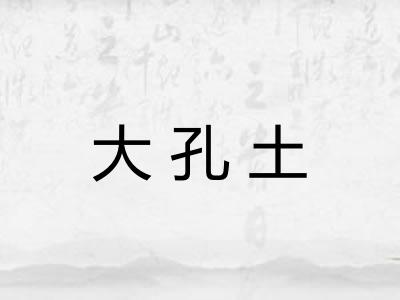 大孔土