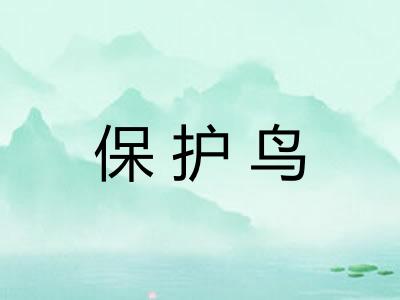 保护鸟