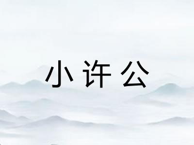 小许公 小许公