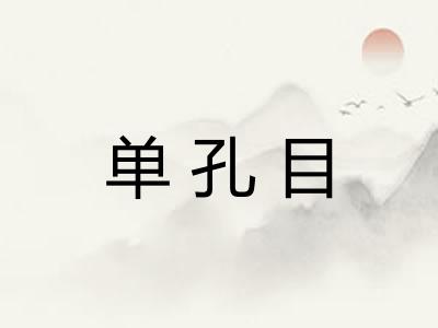 单孔目 单孔目