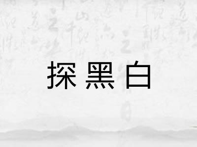探黑白 探黑白