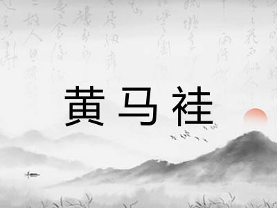 黄马袿 黄马袿